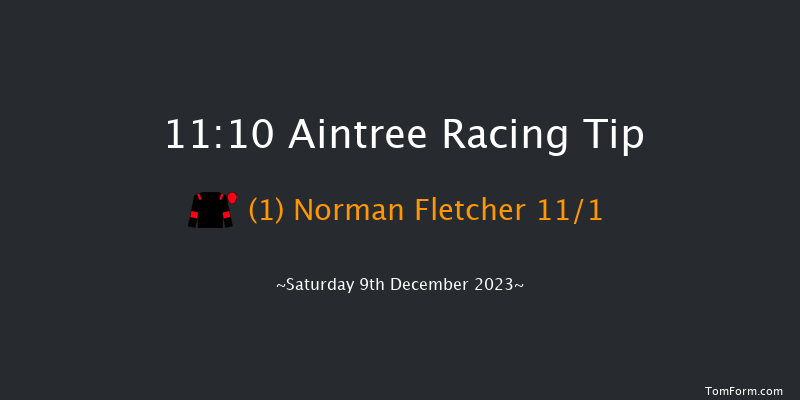 Aintree 11:10 Maiden Hurdle (Class 3) 
17f Sat 11th Nov 2023