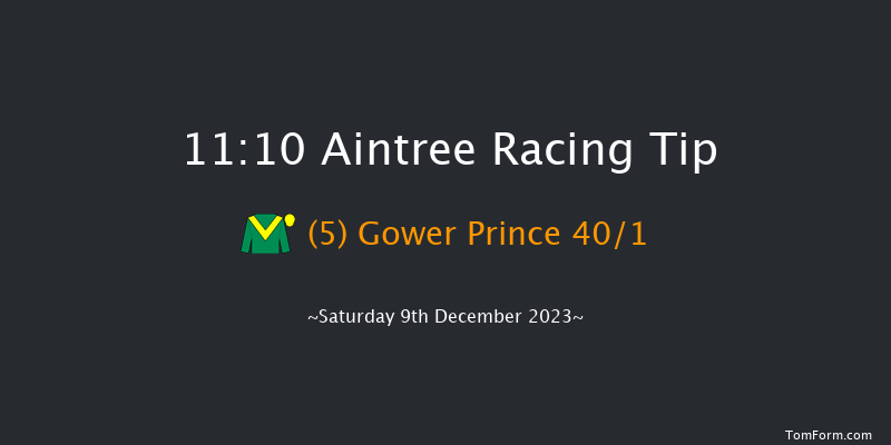 Aintree 11:10 Maiden Hurdle (Class 3) 
17f Sat 11th Nov 2023