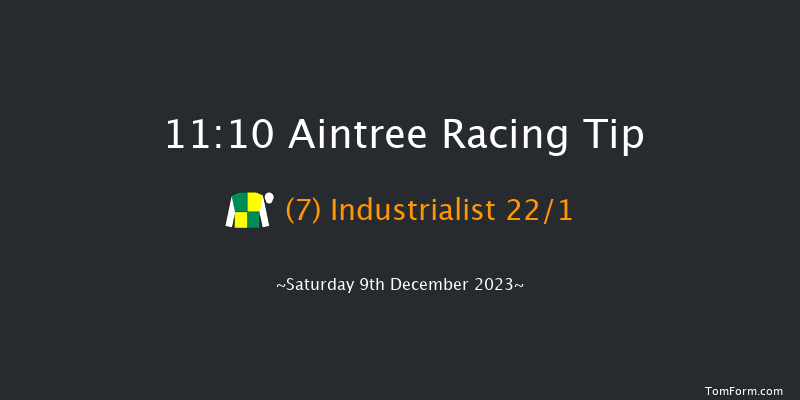 Aintree 11:10 Maiden Hurdle (Class 3) 
17f Sat 11th Nov 2023