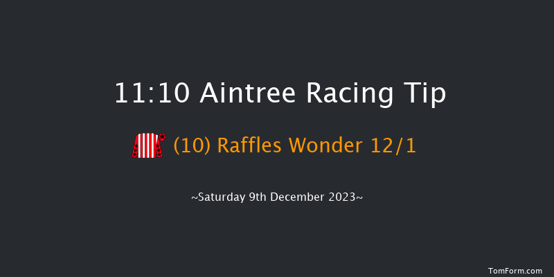 Aintree 11:10 Maiden Hurdle (Class 3) 
17f Sat 11th Nov 2023