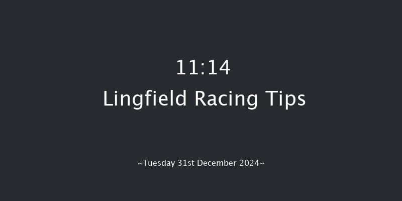 Lingfield  11:14 Handicap (Class 5) 8f Sun 22nd Dec 2024