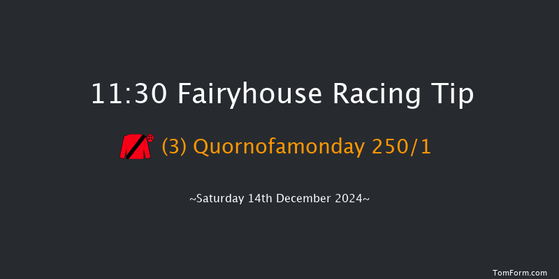 Fairyhouse  11:30 Maiden Chase 16f Sun 1st Dec 2024