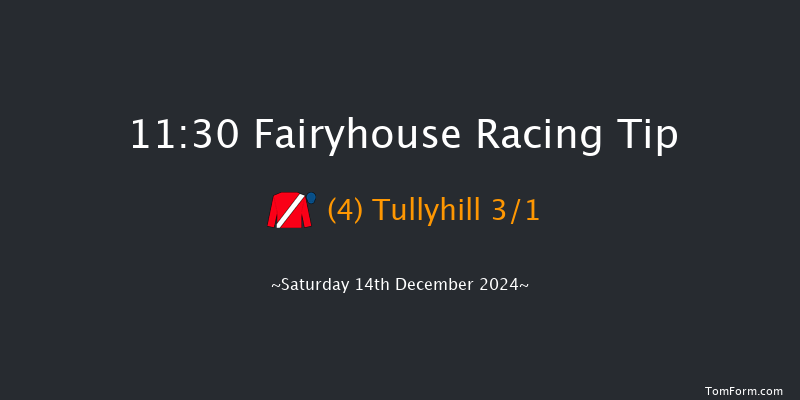 Fairyhouse  11:30 Maiden Chase 16f Sun 1st Dec 2024