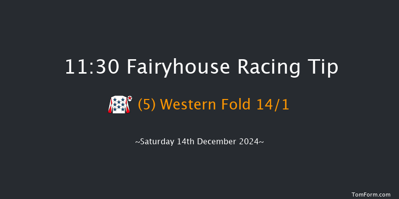 Fairyhouse  11:30 Maiden Chase 16f Sun 1st Dec 2024