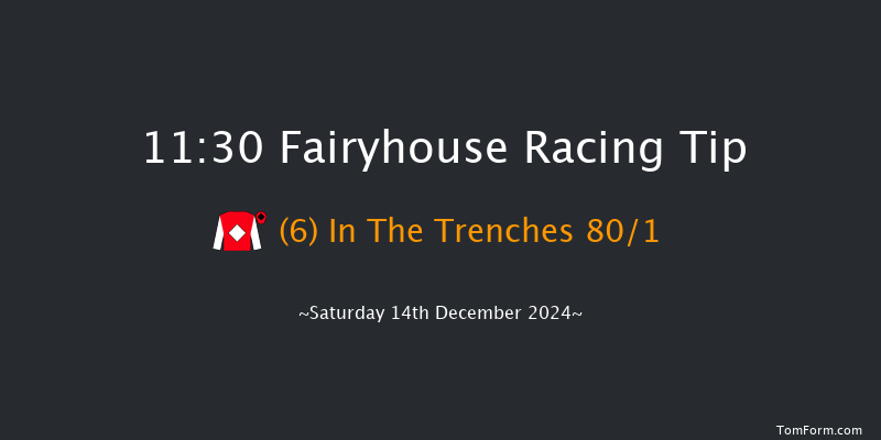 Fairyhouse  11:30 Maiden Chase 16f Sun 1st Dec 2024