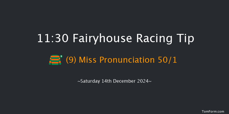 Fairyhouse  11:30 Maiden Chase 16f Sun 1st Dec 2024