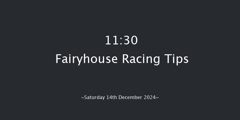 Fairyhouse  11:30 Maiden Chase 16f Sun 1st Dec 2024