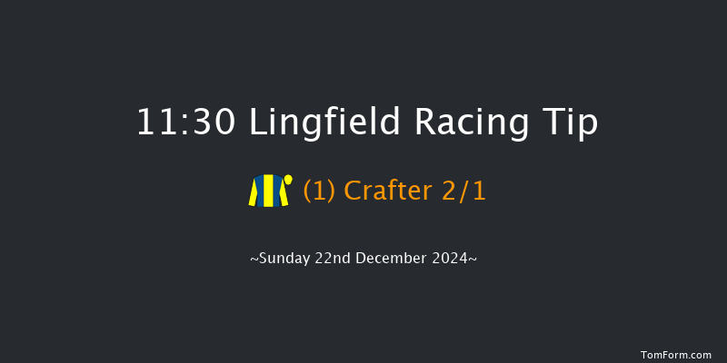 Lingfield  11:30 Handicap (Class 6) 10f Wed 18th Dec 2024