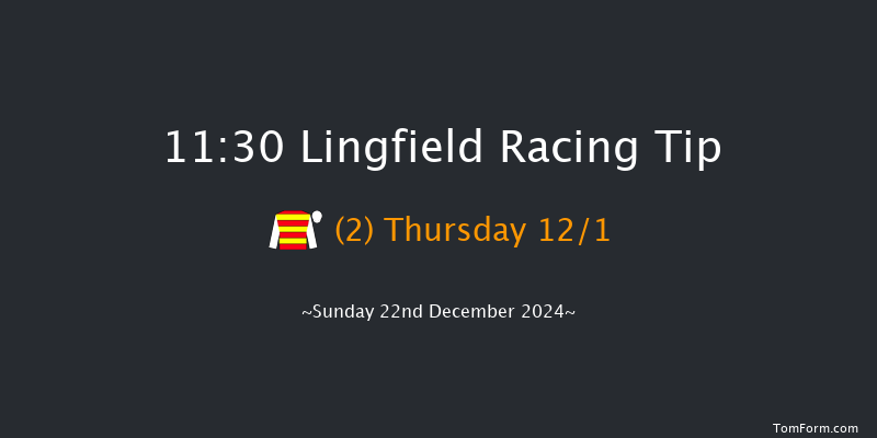 Lingfield  11:30 Handicap (Class 6) 10f Wed 18th Dec 2024