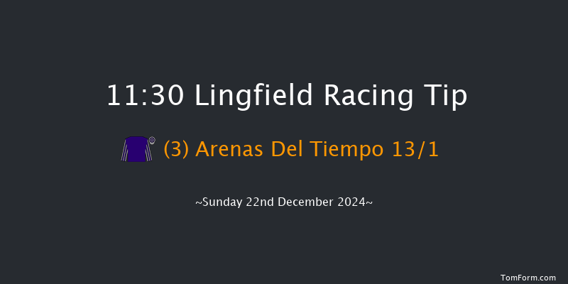 Lingfield  11:30 Handicap (Class 6) 10f Wed 18th Dec 2024