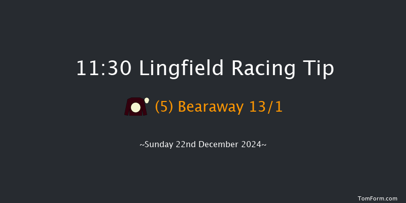 Lingfield  11:30 Handicap (Class 6) 10f Wed 18th Dec 2024