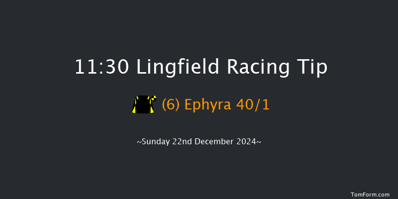 Lingfield  11:30 Handicap (Class 6) 10f Wed 18th Dec 2024