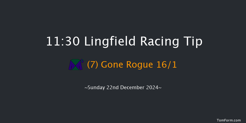 Lingfield  11:30 Handicap (Class 6) 10f Wed 18th Dec 2024