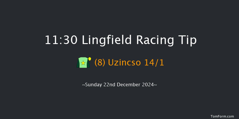 Lingfield  11:30 Handicap (Class 6) 10f Wed 18th Dec 2024