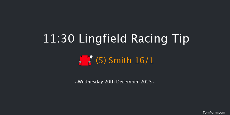 Lingfield 11:30 Handicap (Class 5) 16f Wed 13th Dec 2023