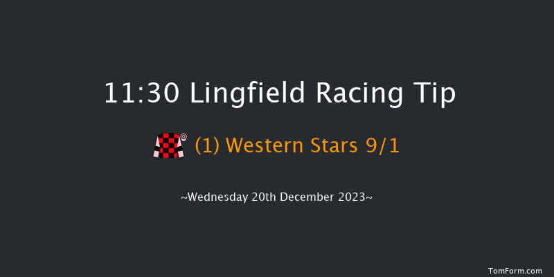 Lingfield 11:30 Handicap (Class 5) 16f Wed 13th Dec 2023