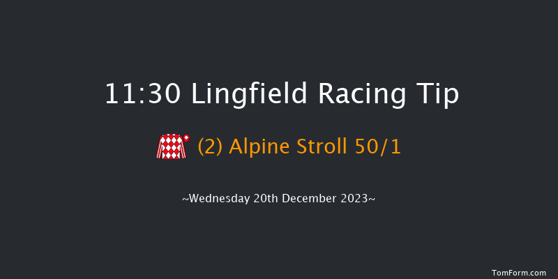 Lingfield 11:30 Handicap (Class 5) 16f Wed 13th Dec 2023