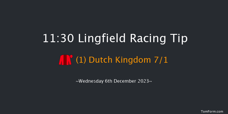 Lingfield 11:30 Handicap (Class 5) 7f Tue 5th Dec 2023