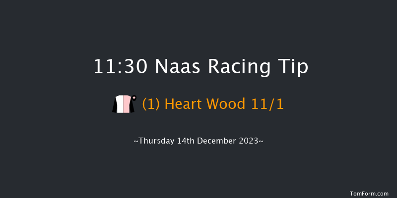 Naas 11:30 Maiden Chase 20f Sun 12th Nov 2023