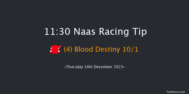 Naas 11:30 Maiden Chase 20f Sun 12th Nov 2023