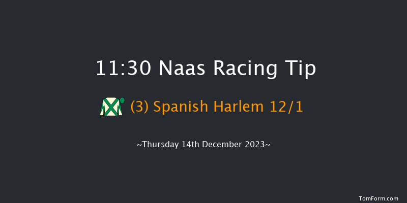 Naas 11:30 Maiden Chase 20f Sun 12th Nov 2023