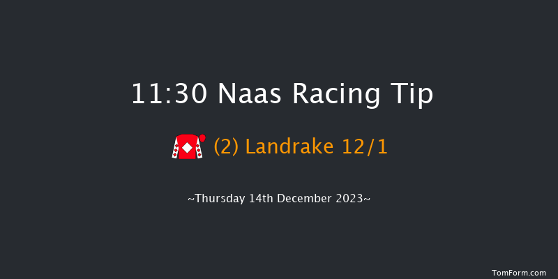 Naas 11:30 Maiden Chase 20f Sun 12th Nov 2023