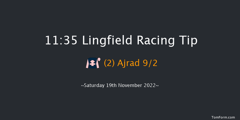 Lingfield 11:35 Handicap (Class 6) 7f Tue 15th Nov 2022