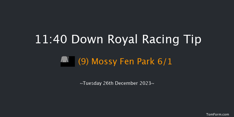 Down Royal 11:40 Maiden Hurdle 20f Sat 11th Nov 2023