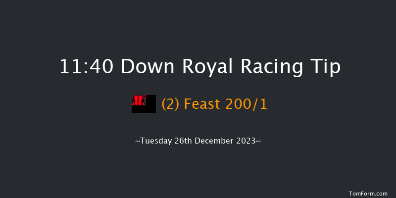 Down Royal 11:40 Maiden Hurdle 20f Sat 11th Nov 2023