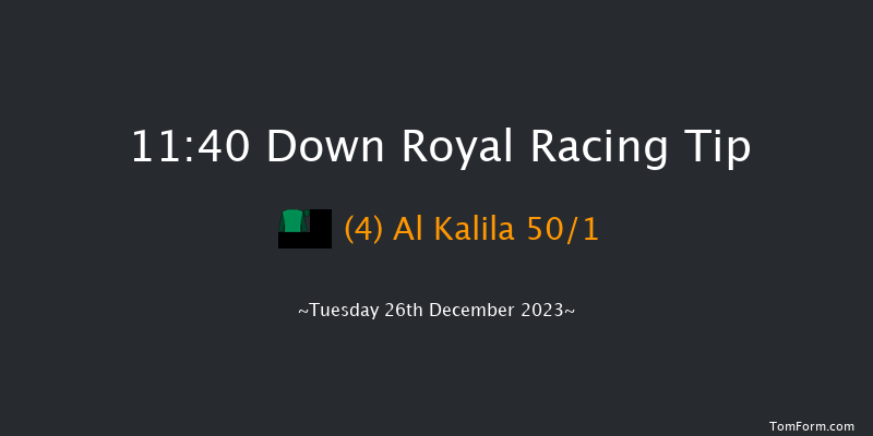 Down Royal 11:40 Maiden Hurdle 20f Sat 11th Nov 2023