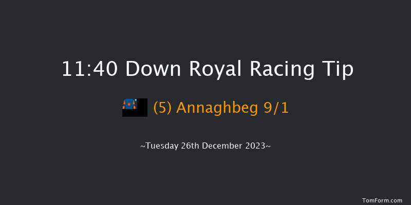 Down Royal 11:40 Maiden Hurdle 20f Sat 11th Nov 2023