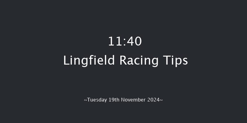 Lingfield  11:40 Stakes (Class 5) 8f  Wed 13th Nov 2024