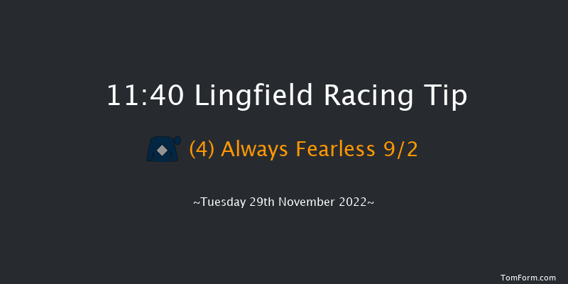 Lingfield 11:40 Handicap (Class 6) 8f Thu 24th Nov 2022