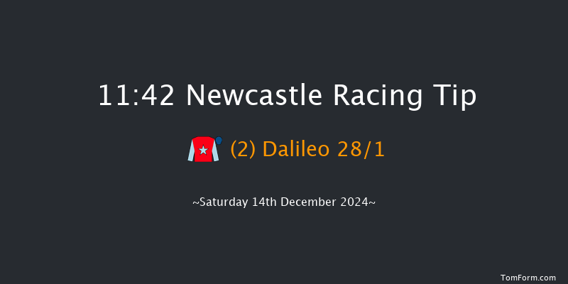 Newcastle  11:42 Handicap Hurdle (Class 5) 20f Thu 12th Dec 2024