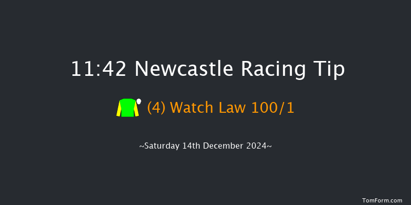 Newcastle  11:42 Handicap Hurdle (Class 5) 20f Thu 12th Dec 2024