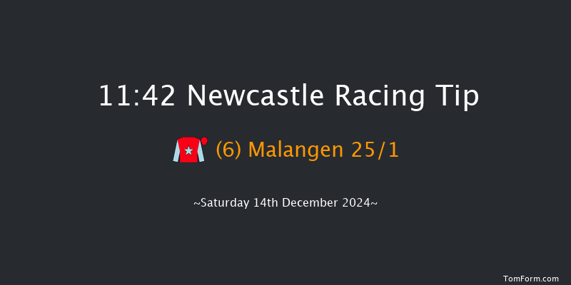 Newcastle  11:42 Handicap Hurdle (Class 5) 20f Thu 12th Dec 2024