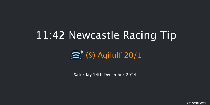 Newcastle  11:42 Handicap Hurdle (Class 5) 20f Thu 12th Dec 2024