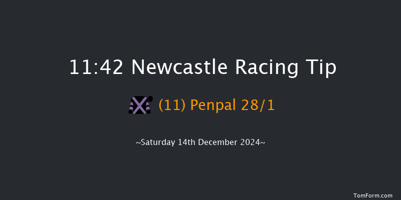 Newcastle  11:42 Handicap Hurdle (Class 5) 20f Thu 12th Dec 2024