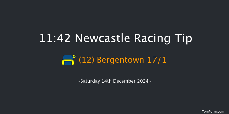 Newcastle  11:42 Handicap Hurdle (Class 5) 20f Thu 12th Dec 2024