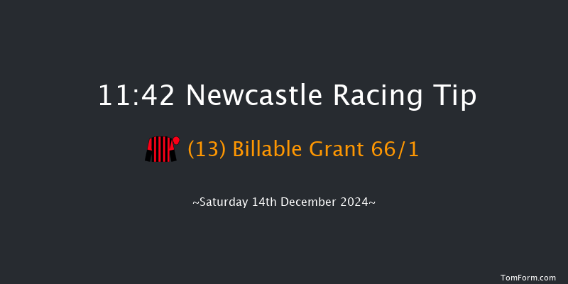 Newcastle  11:42 Handicap Hurdle (Class 5) 20f Thu 12th Dec 2024