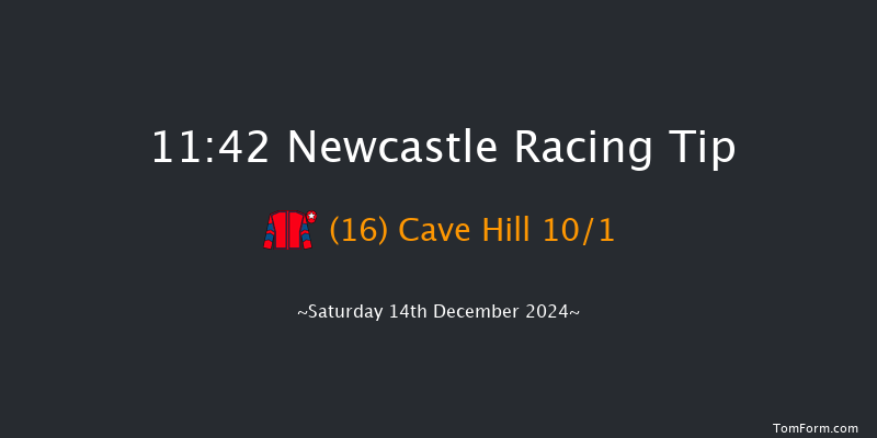 Newcastle  11:42 Handicap Hurdle (Class 5) 20f Thu 12th Dec 2024