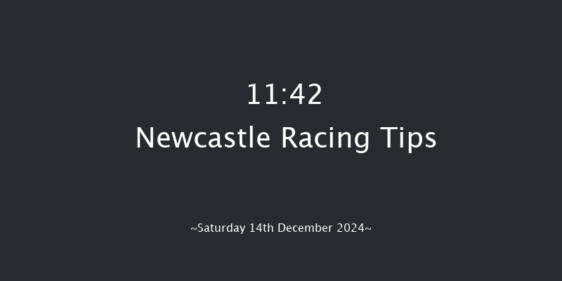 Newcastle  11:42 Handicap Hurdle (Class 5) 20f Thu 12th Dec 2024