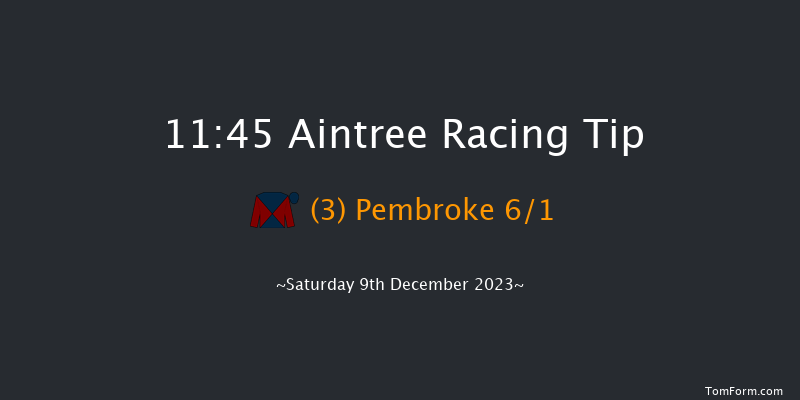 Aintree 11:45 Maiden Chase (Class 2) 20f Sat 11th Nov 2023