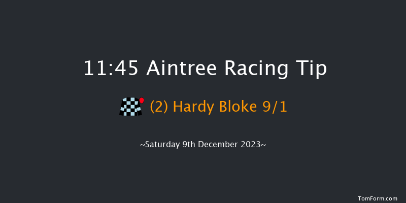 Aintree 11:45 Maiden Chase (Class 2) 20f Sat 11th Nov 2023