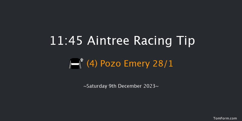 Aintree 11:45 Maiden Chase (Class 2) 20f Sat 11th Nov 2023