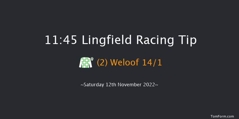 Lingfield 11:45 Handicap (Class 6) 8f Tue 8th Nov 2022