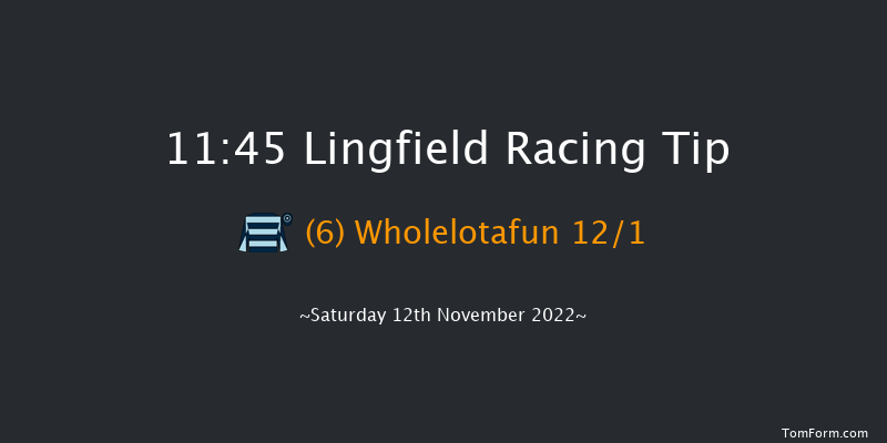 Lingfield 11:45 Handicap (Class 6) 8f Tue 8th Nov 2022