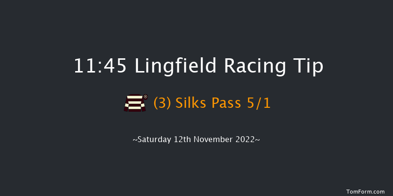 Lingfield 11:45 Handicap (Class 6) 8f Tue 8th Nov 2022