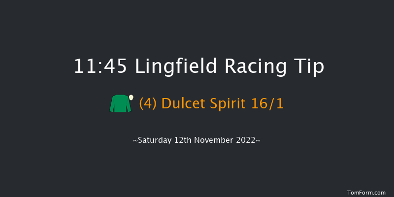 Lingfield 11:45 Handicap (Class 6) 8f Tue 8th Nov 2022