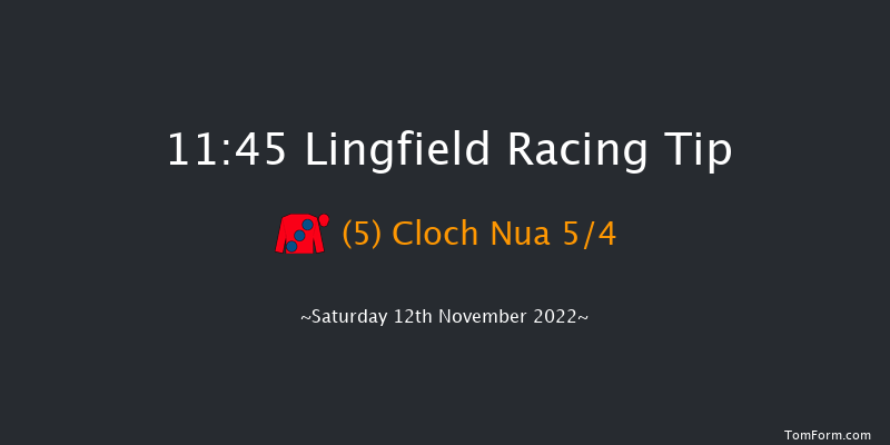 Lingfield 11:45 Handicap (Class 6) 8f Tue 8th Nov 2022